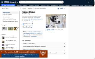 Dane Contracting
