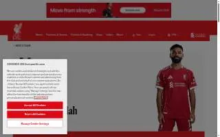 Salah Cafe website