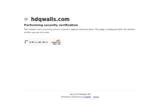 HDQ Wealth