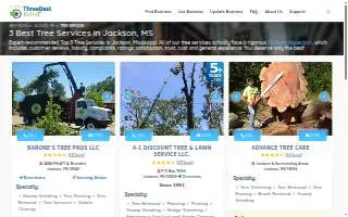 A-1 Discount Tree & Lawn Service of Jackson website