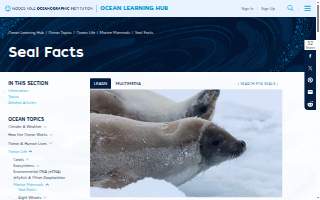 Seals Heating and Air