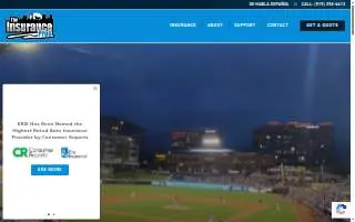 The Insurance Pros website