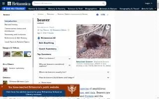 Beavers Plumbing & Rooter website