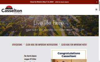 Casselton Veterinary Service, Fargo