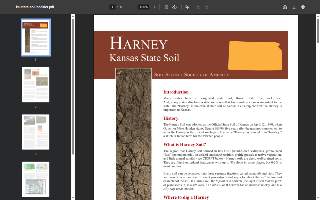 Harney Street Tavern