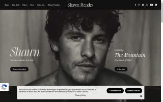 Shawn J. John MD