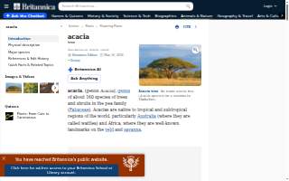 Acacia