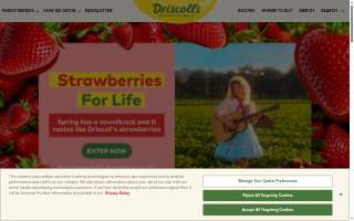 Driscoll Tax & Accounting
