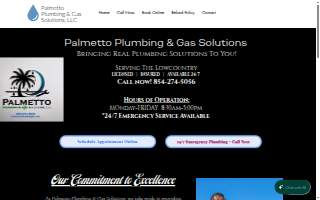 Palmetto Plumbing Inc
