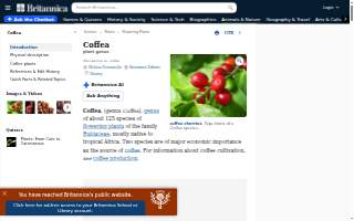 Coffea Roasterie and Espresso Bar