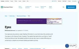 Eye Street Dental Center website