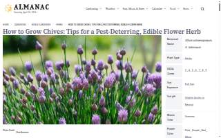 Chives Innovative Catering