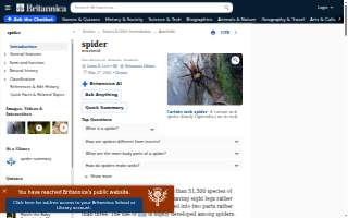 Spiders Tree Care Service of Athens