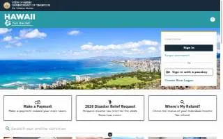 Hawaii Tax Services LLC of Honolulu website