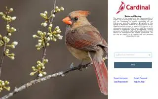 Cardinal Health of Bangor website