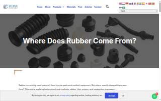 Rubber City Chiropractic (Bath, OH)