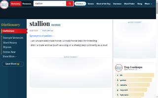 The Stallion