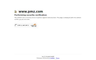 PMZ Real Estate