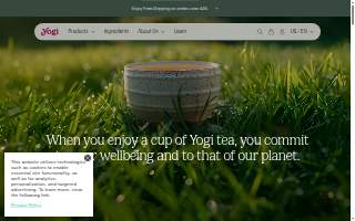 Yogi Dental Center