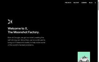 X of Flint website