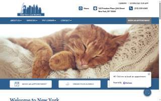 New York Cat Hospital