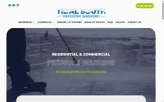 Tidal South website