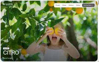 The Citro Agency: Allstate Insurance of Burlington website