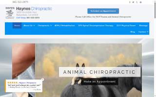 Haynes Chiropractic