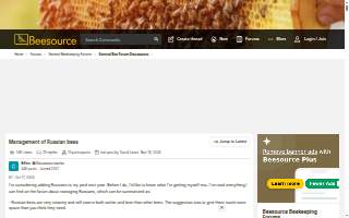 Bees & Boards Restaurant + Provision Company