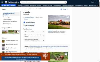 Cattle Shed