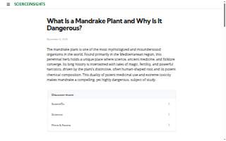 Mandrake Rooftop