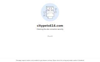 CityPets614 Animal Hospital