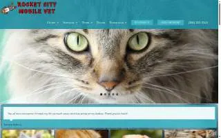 Rocket City Mobile Vet website