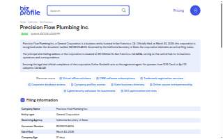 Precision Flow Plumbing