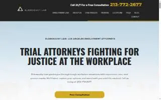 Eldessouky Law website