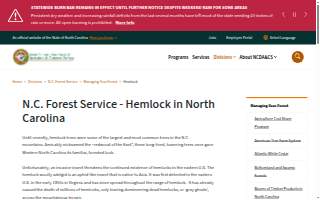 Hemlock Boise