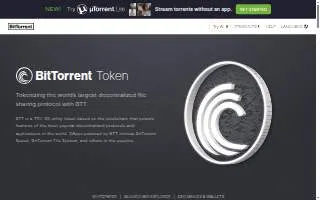 BTT Hair Salon website