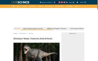 Dinosaur Heating and Cooling LLC