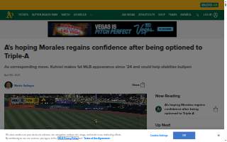 Morales Transportation Services LLC