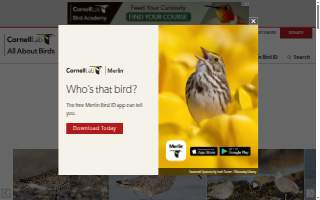 Willet Construction Inc