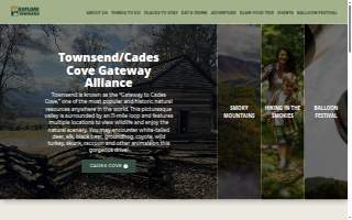 Townsend's Automotive
