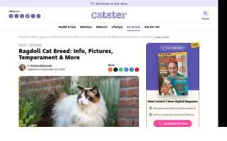 AdaptCafe website