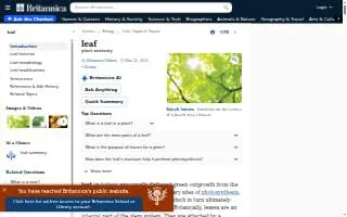 Leaves 'n Beans' Roastery website