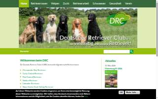 DRC Landscaping