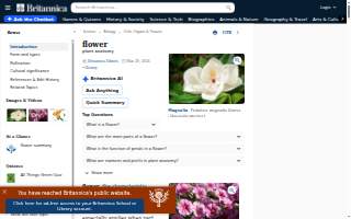 Flower City Tax & Accounting