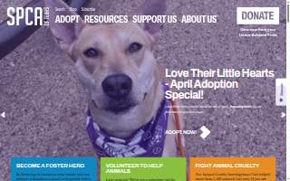 San Francisco SPCA Community Veterinary Clinic