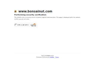 BONSAI Architect-Led Design+Build
