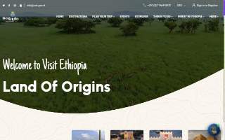 Ethio Motors Inc
