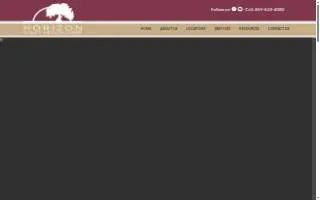Horizon Automotive Inc website