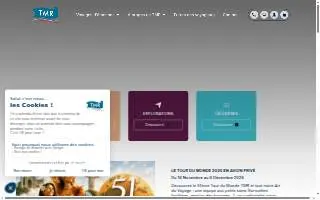 TMR Salon website